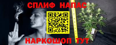 ECSTASY Бийск